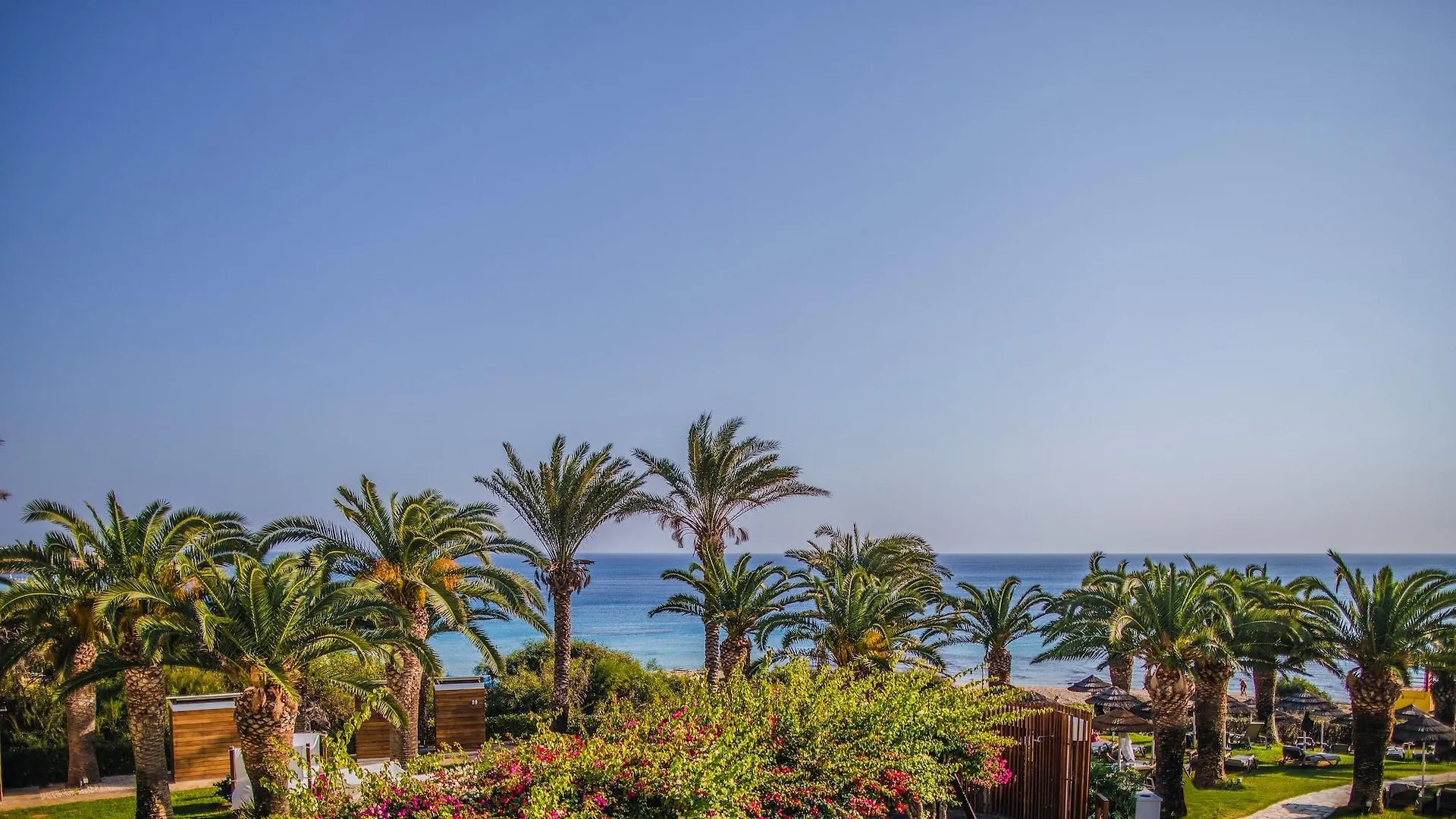 Alion Beach Hotel Ayia Napa