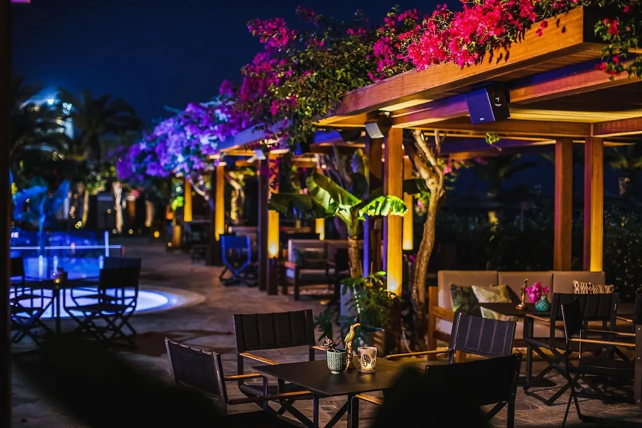 Alion Beach Hotel Ayia Napa