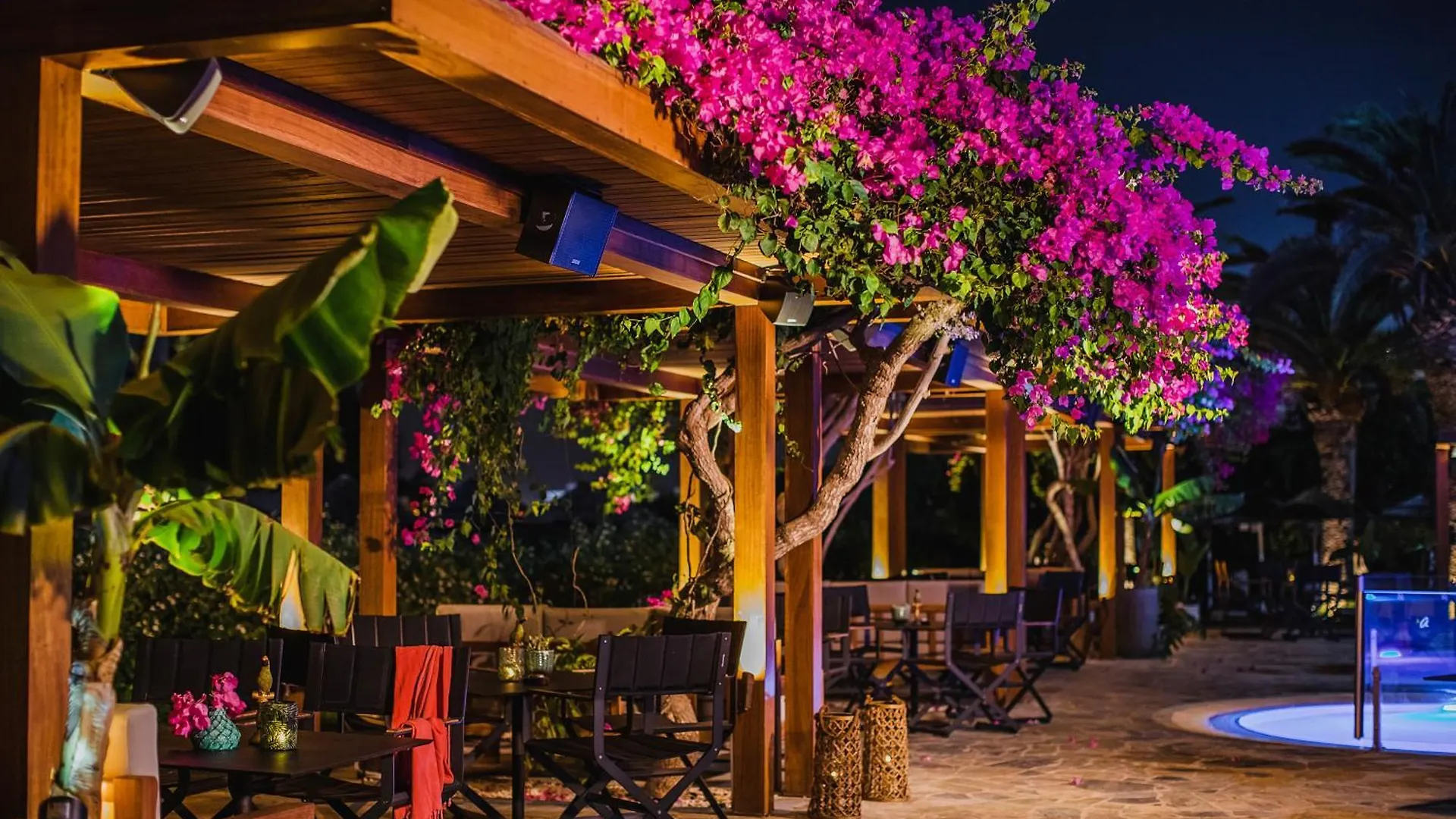 Alion Beach Hotel Ayia Napa 5*,